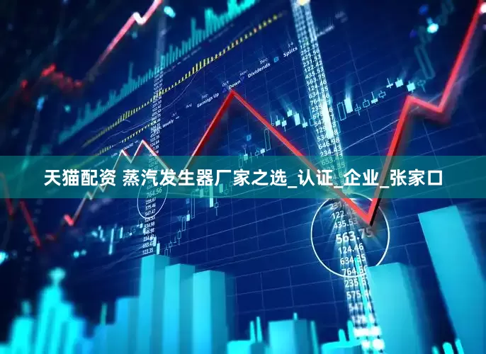 天猫配资 蒸汽发生器厂家之选_认证_企业_张家口