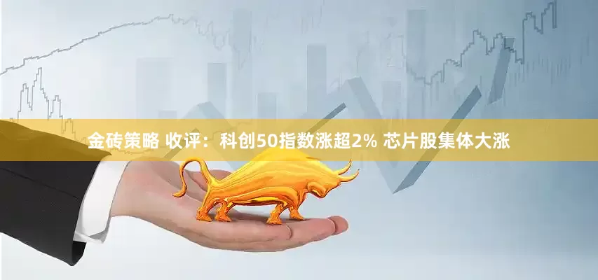 金砖策略 收评：科创50指数涨超2% 芯片股集体大涨