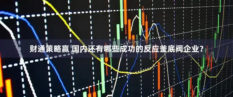 财通策略赢 国内还有哪些成功的反应釜底阀企业？