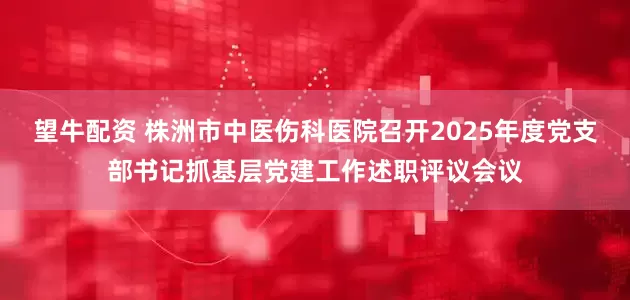 望牛配资 株洲市中医伤科医院召开2025年度党支部书记抓基层党建工作述职评议会议